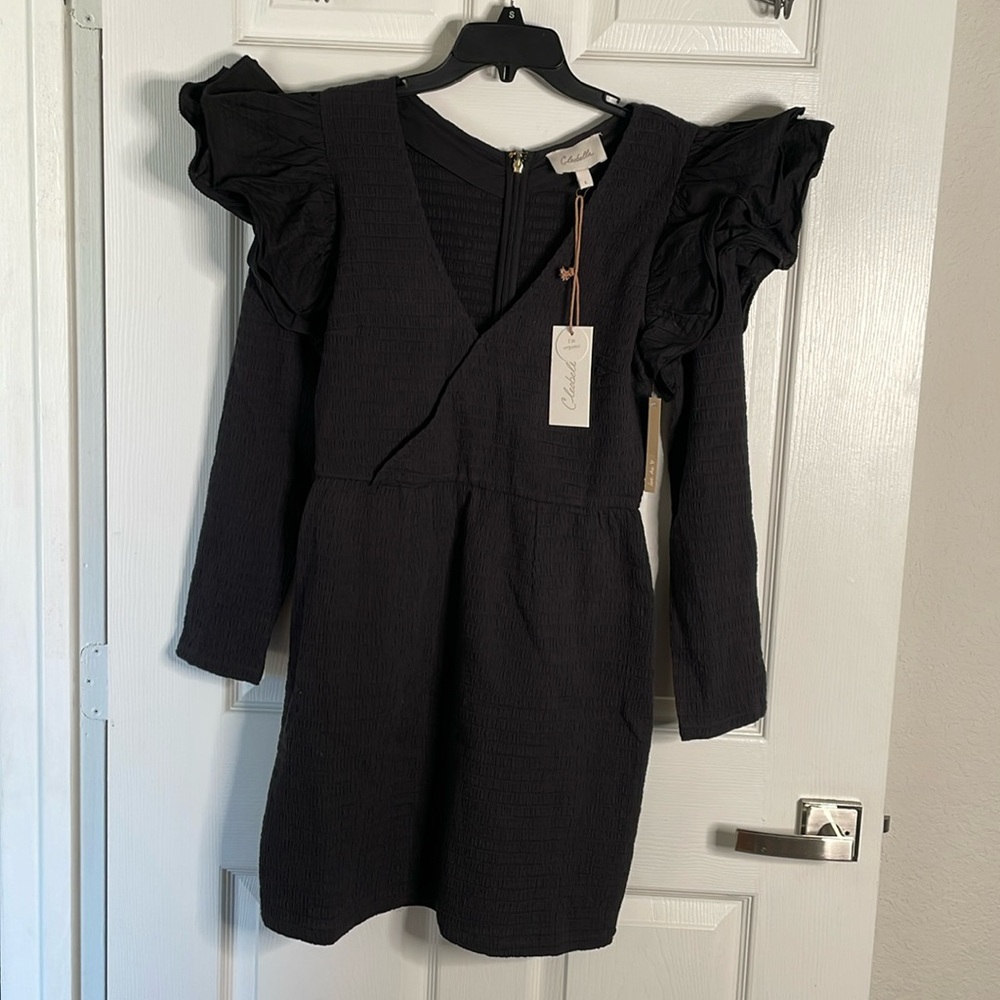 NWT cleobella long sleeve brigitta mini dress